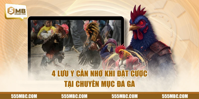 4 lưu ý cần nhớ khi đặt cược tại chuyên mục đá gà