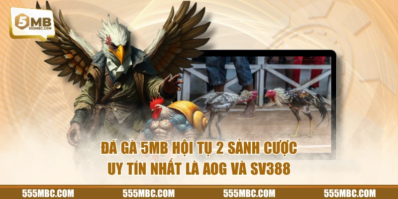 Đá gà 5MB hội tụ 2 sảnh cược uy tín nhất là AOG và SV388