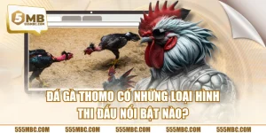 Đá Gà Thomo Có Những Loại Hình Thi Đấu Nổi Bật Nào?