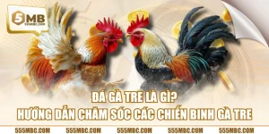 Đá Gà Tre Là Gì? Hướng Dẫn Chăm Sóc Các Chiến Binh Gà Tre