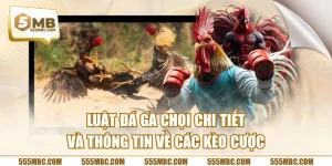 Luật Đá Gà Chọi Chi Tiết Và Thông Tin Về Các Kèo Cược