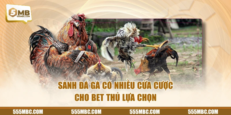 Sảnh đá gà có nhiều cửa cược cho bet thủ lựa chọn